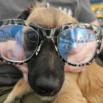 Profile picture of Dallas Hawkins