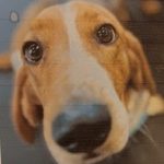 Profile picture of Michael Wilson