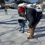 Profile picture of David Rudd