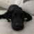 Profile picture of Benjamin Maley